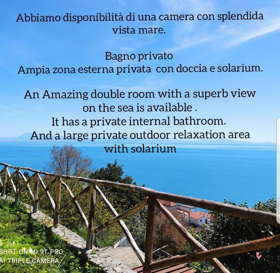 Villa Il Piccolo Sogno In Costiera Amalfitana Conca dei Marini Exterior foto